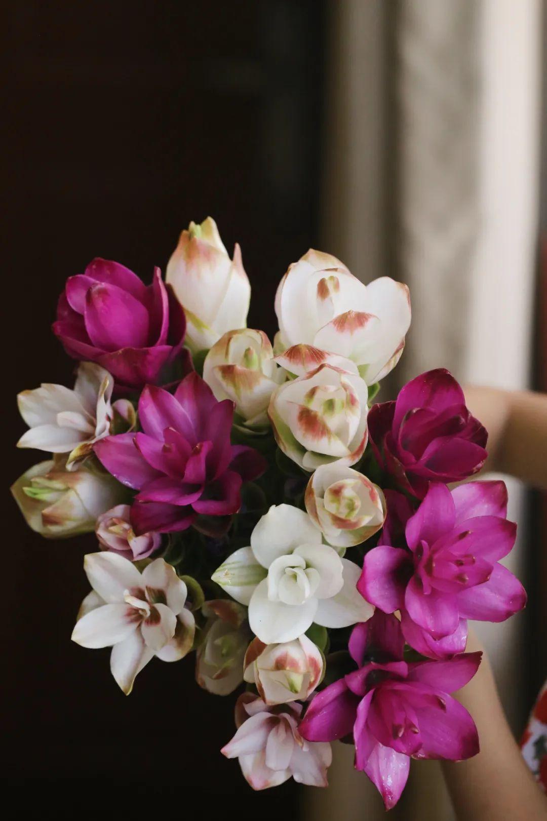 姜荷花i自成一派的温柔