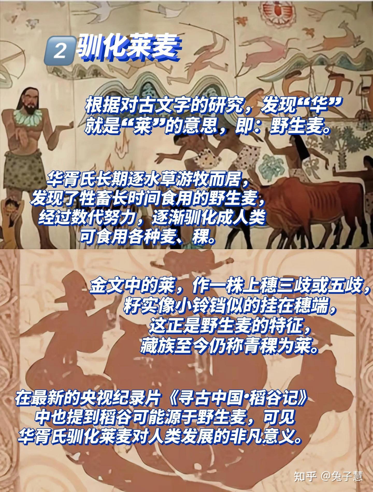 中华史前文明-伏羲2 - 知乎