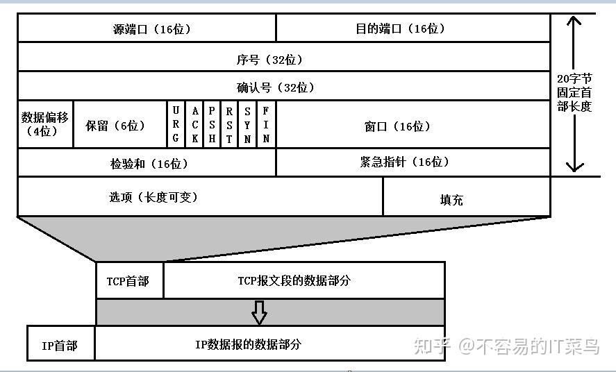 图解TCP/IP详解(史上最全) - 知乎