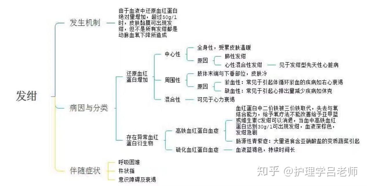 诊断学思维导图一