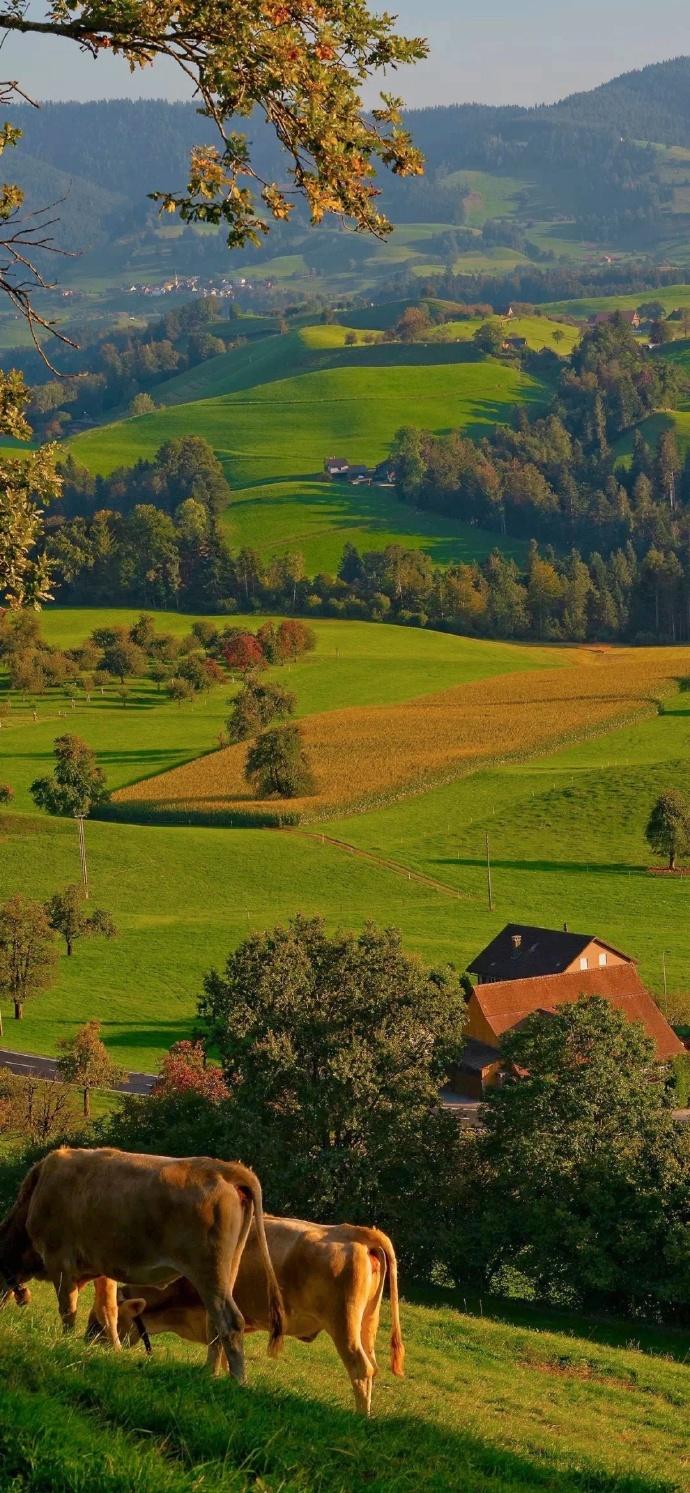 微信更新了,大家有没有好看高质量的图片用来当微信状态图?-稿定设计