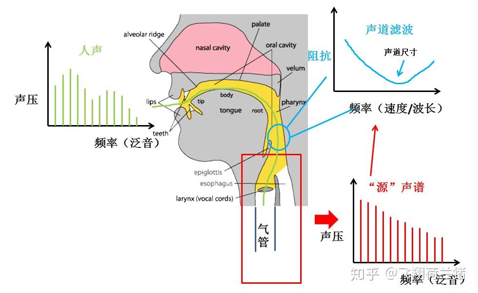 声纳工作示意图图片