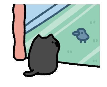 超可爱小黑猫表情包 - 知乎