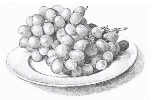 零基础怎么自学素描入门?素描教程