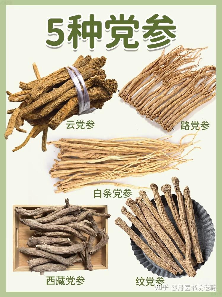 党参功效大揭秘,从厨房食材到滋补良药 - 知乎
