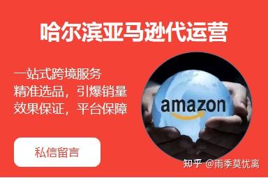 长春Amazon代营运——地术B2C_chan_(长春代营运子公司)