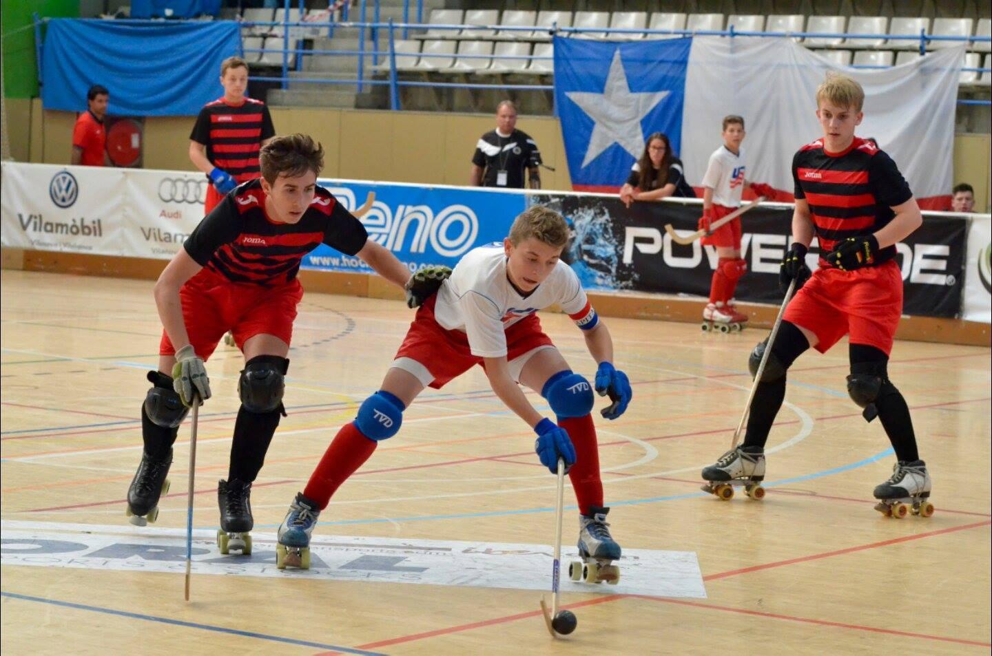 双排轮滑球(rink hockey)来自于草地曲棍球.