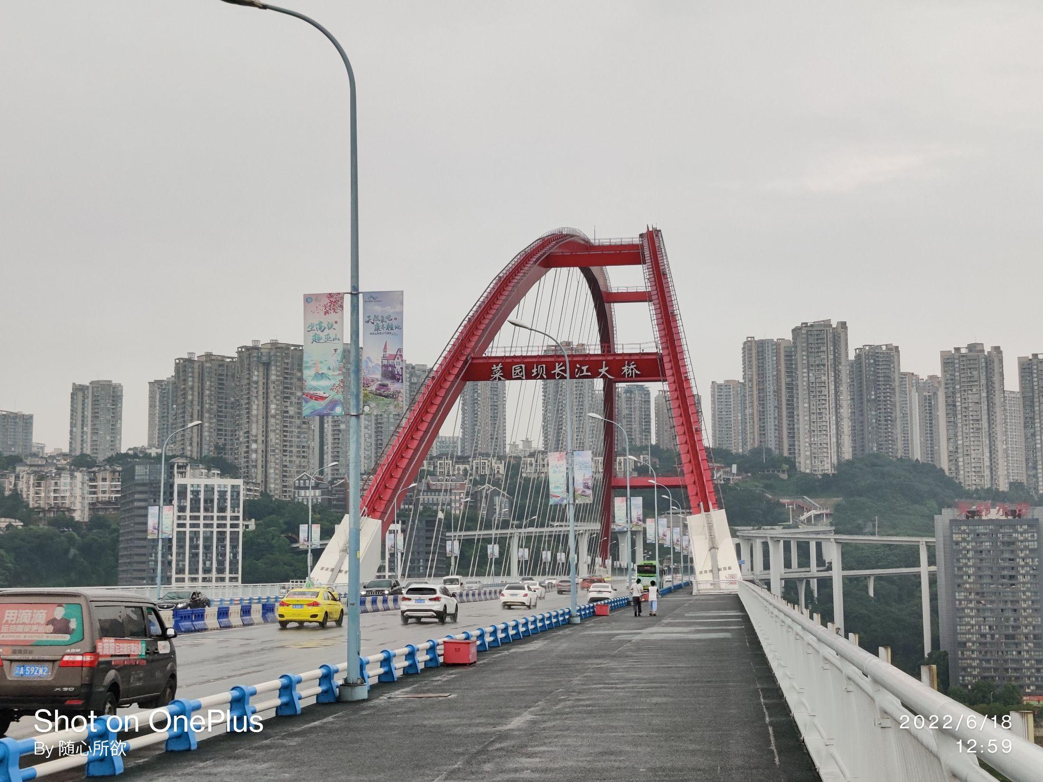 14.菜園壩長江大橋