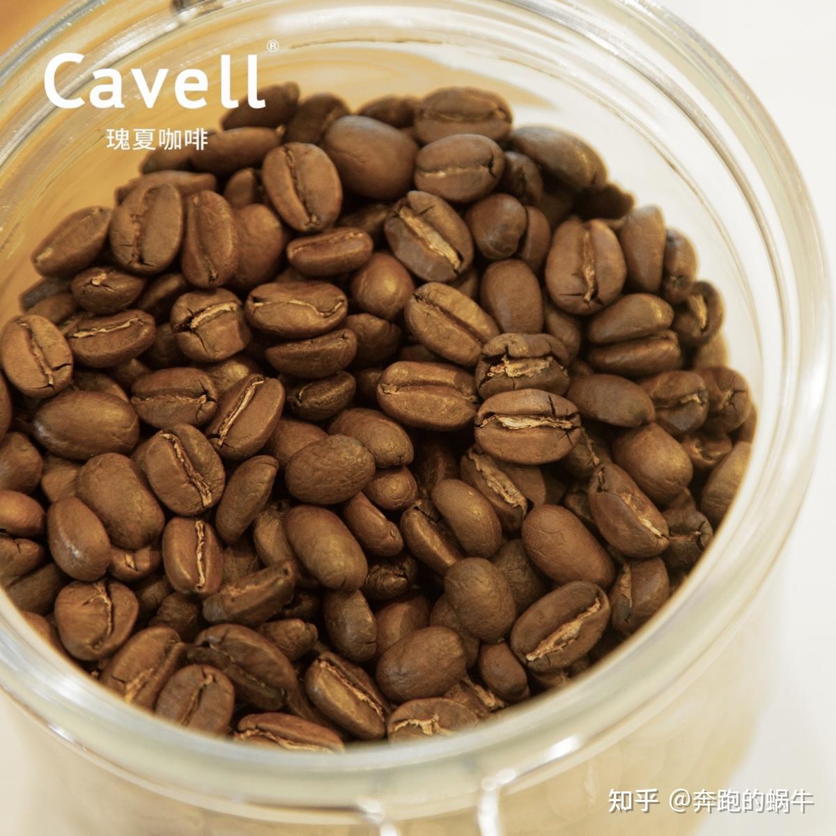 咖啡豆该怎么选？一文看懂阿拉比卡、罗布斯塔、曼特宁、蓝山、猫屎咖等主流咖啡豆的特色与区别- 知乎