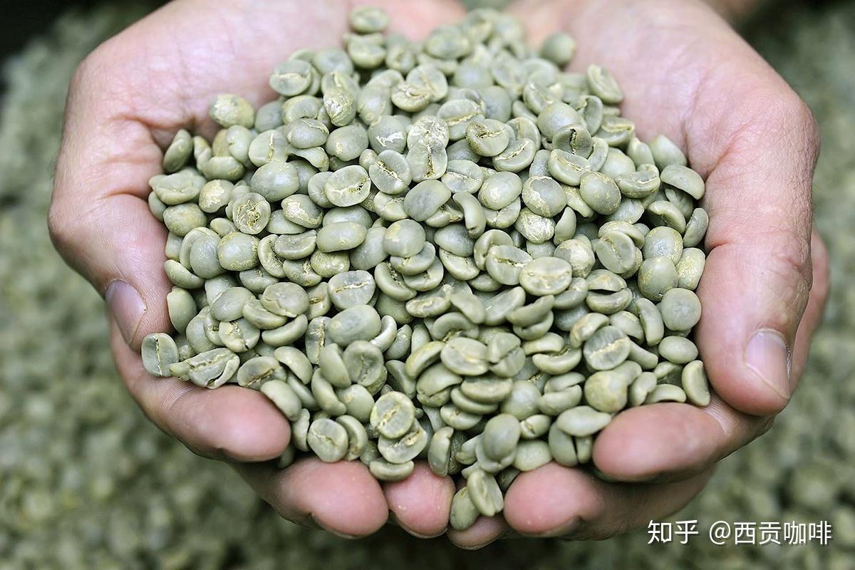 产地介绍丨世界优质咖啡产地圣赫勒拿岛