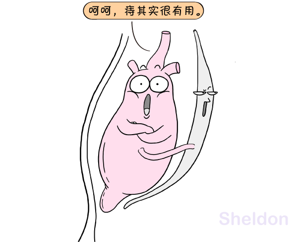 v2-165b8dd4cd350d5e373afce4d1f8fe6f_r.jpg