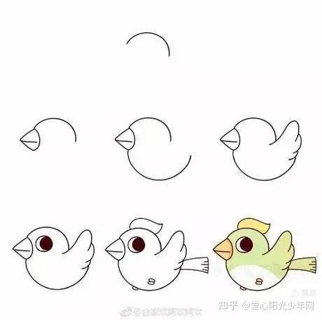 百灵鸟怎么画简笔画图片