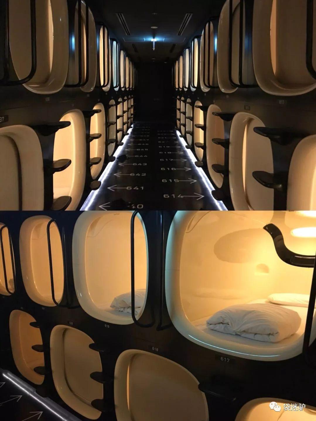 想明年去日本看樱花,假设准备玩一个星期到十