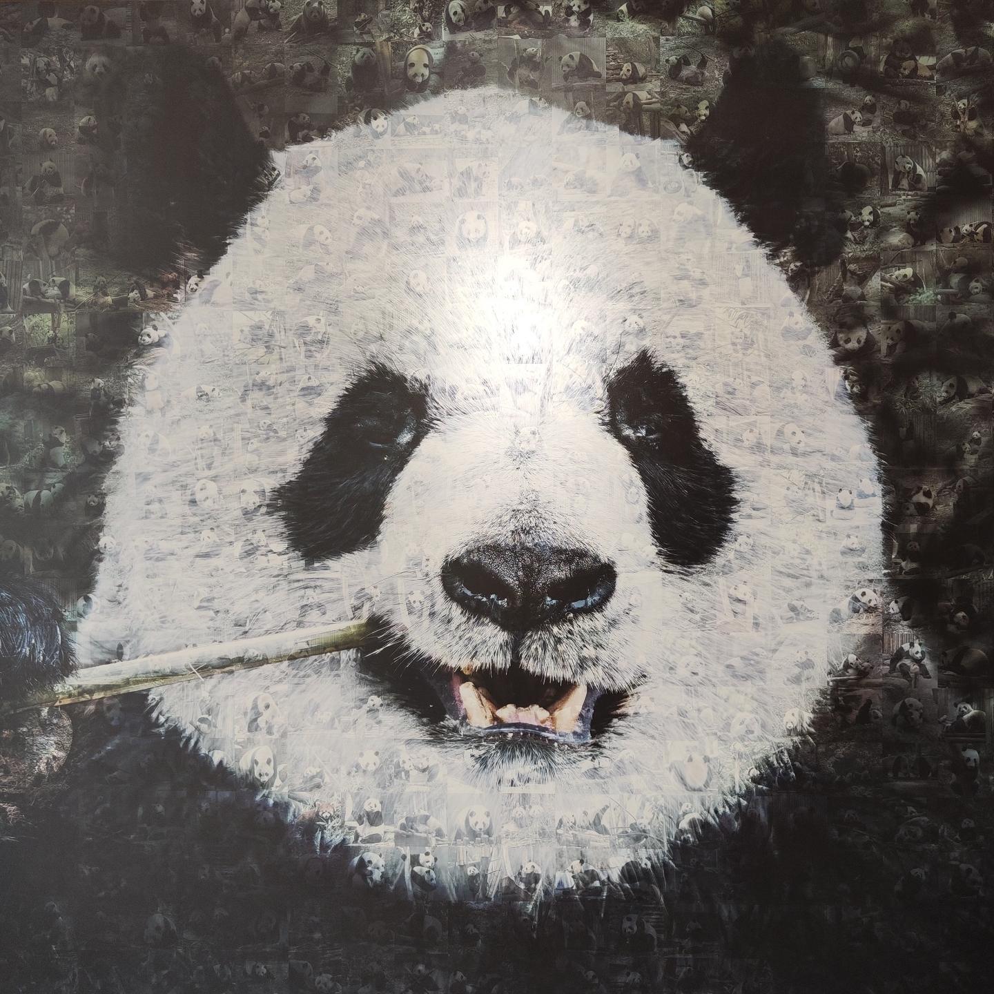知物用物