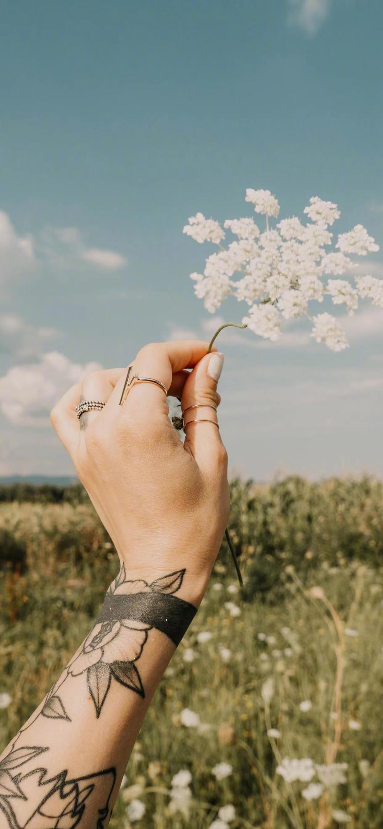 有没有超级好看的手控福利的壁纸呀