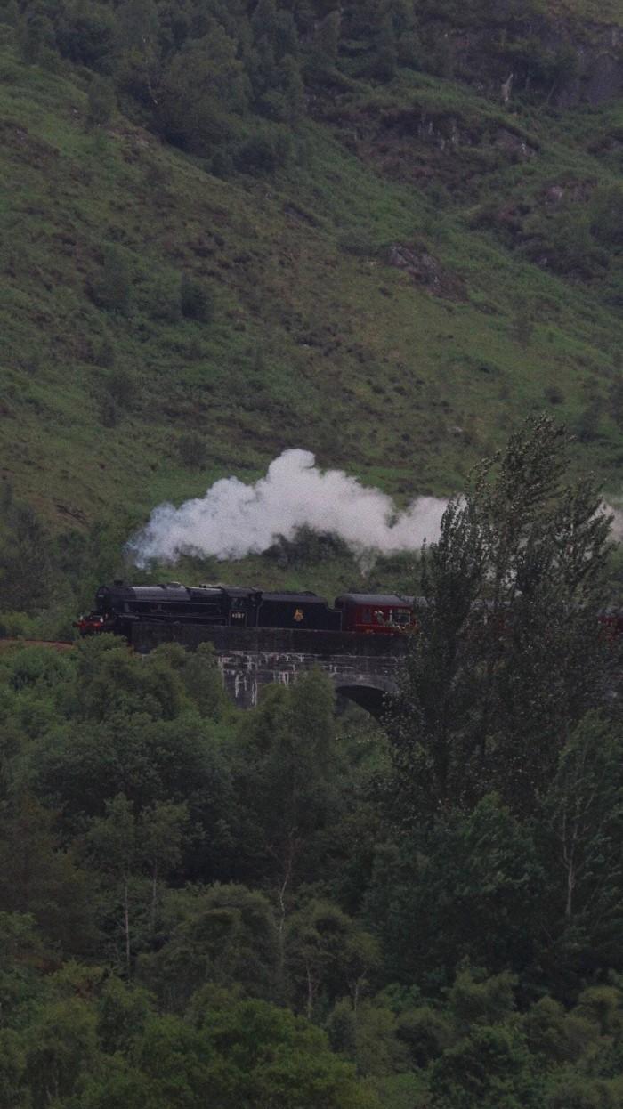 极富美感的绿色系壁纸(无水印)(绿色壁纸唯美可爱)