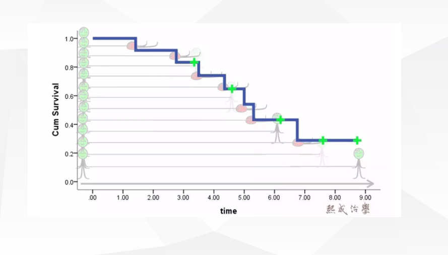 生存曲线制图含义