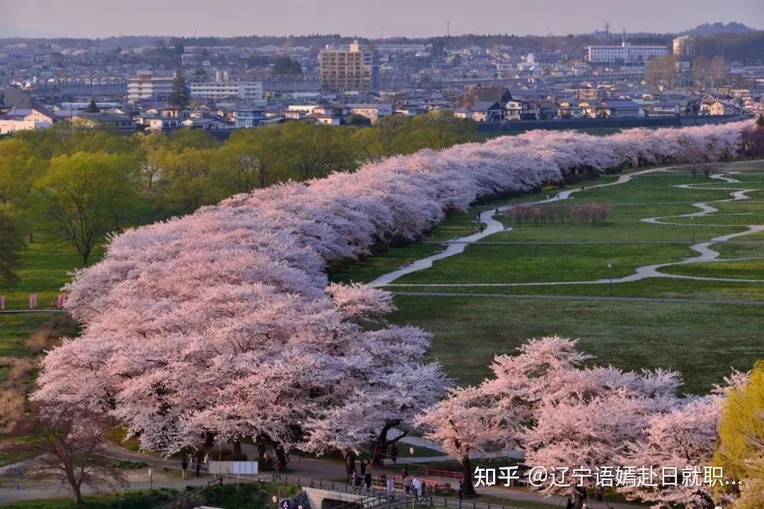 2021年日本櫻花前線預測待疫情好轉我們一起去賞櫻吧