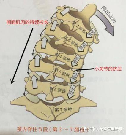 会侧人口_人口普查(3)