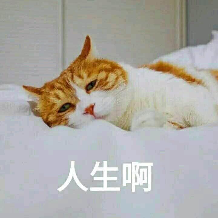 不参加高考 通过雅思托福成绩申请大学跟在