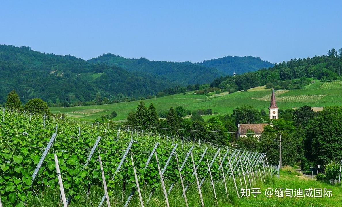 孟平迪威国际乡村田园风