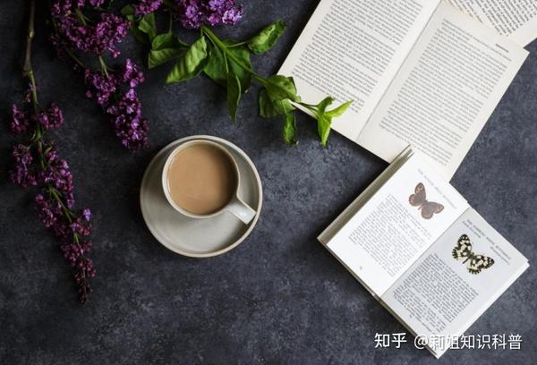 形容安静温柔的文案(很适合配音的文案，安静淡然的唯美句子)