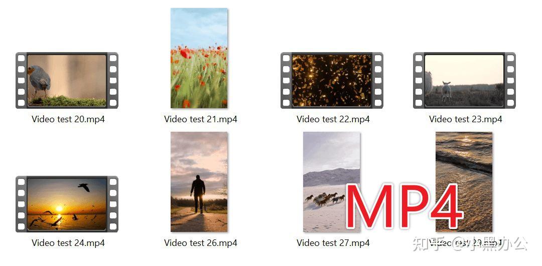 MP4、MOV怎么批量转换为TS格式?视频批量转TS操作教程