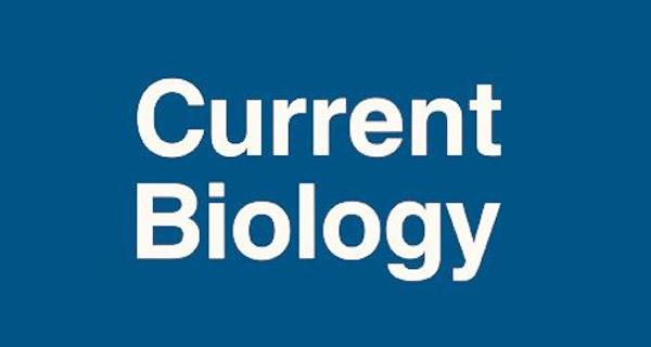currentbiology宵夜吃多长肉了是多巴胺在大脑的生物钟中心里作祟