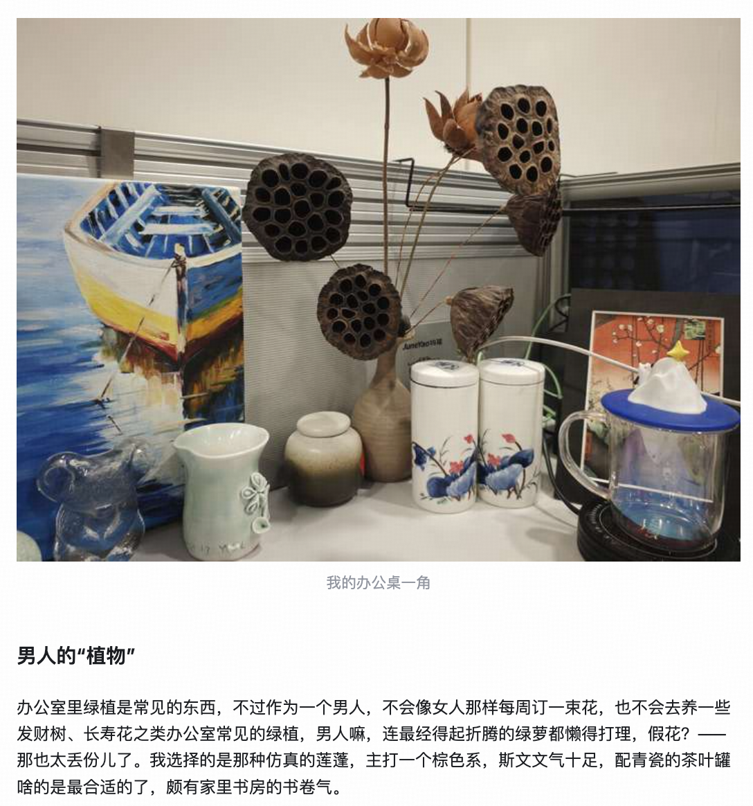 「替大家试过了,『好看又实用』的好物真的存在」丨2024 好物 100「生活问号,好物知道」每周精选 - 知乎