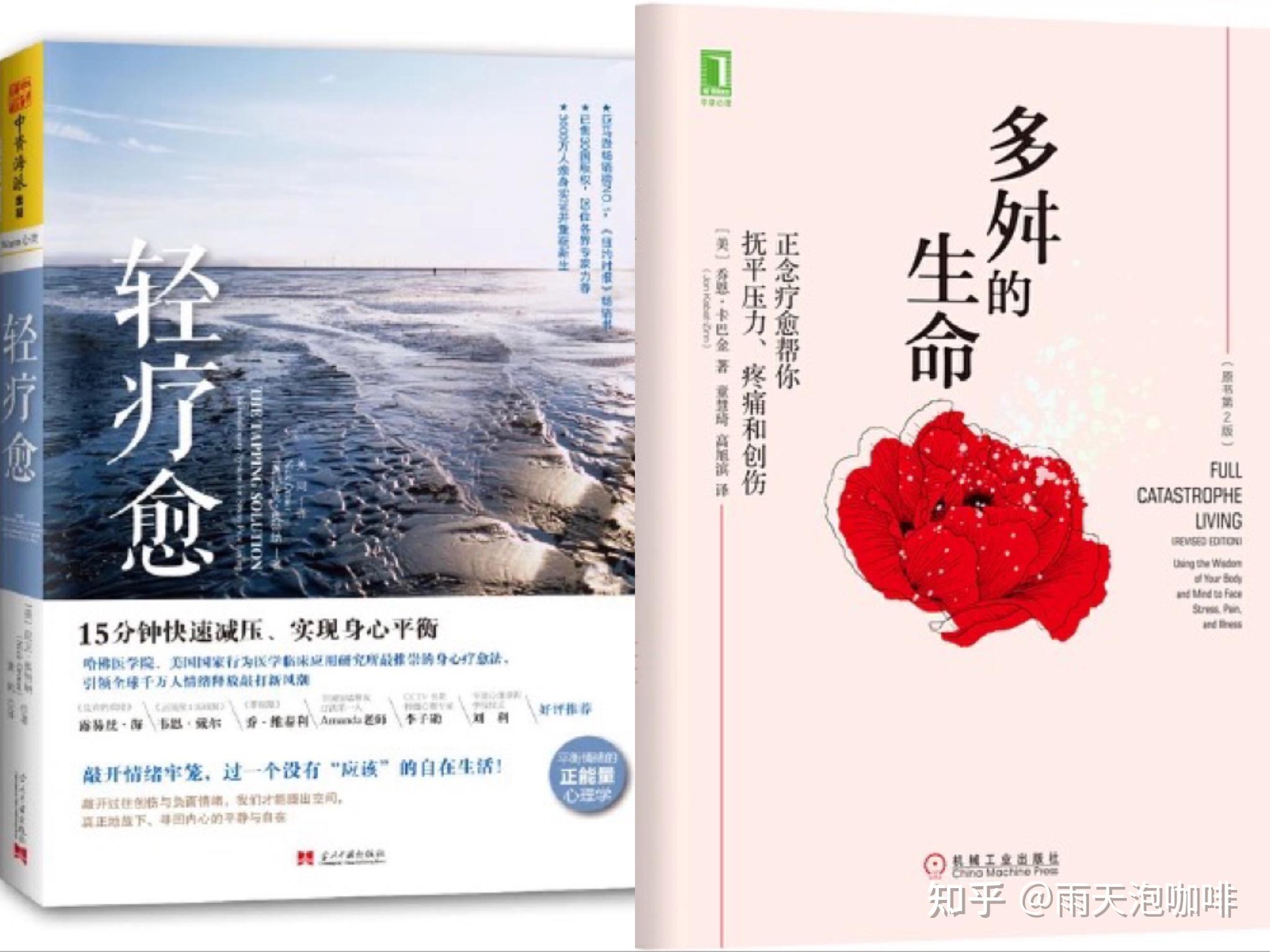 這兩本書,是我在情感漩渦中總是失眠,頭疼時購買的.