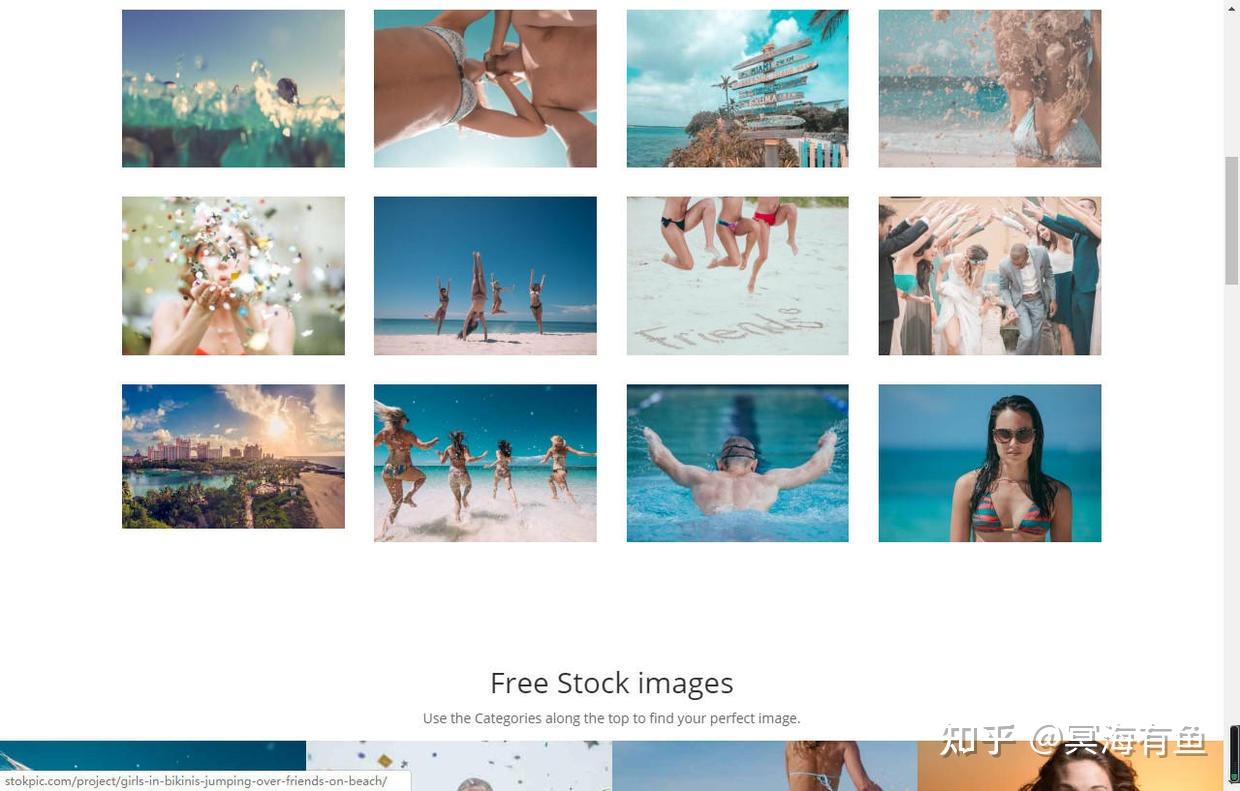 com/stockpic集合各种动物图片的网站,可以根据主色调来搜索,颜色饱和