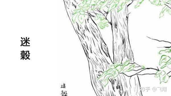 《山海经图解第二篇:迷榖》一种神奇的树 - 知乎