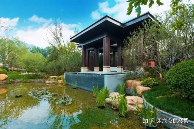 躺平怎么躺躺平的资本檀香府