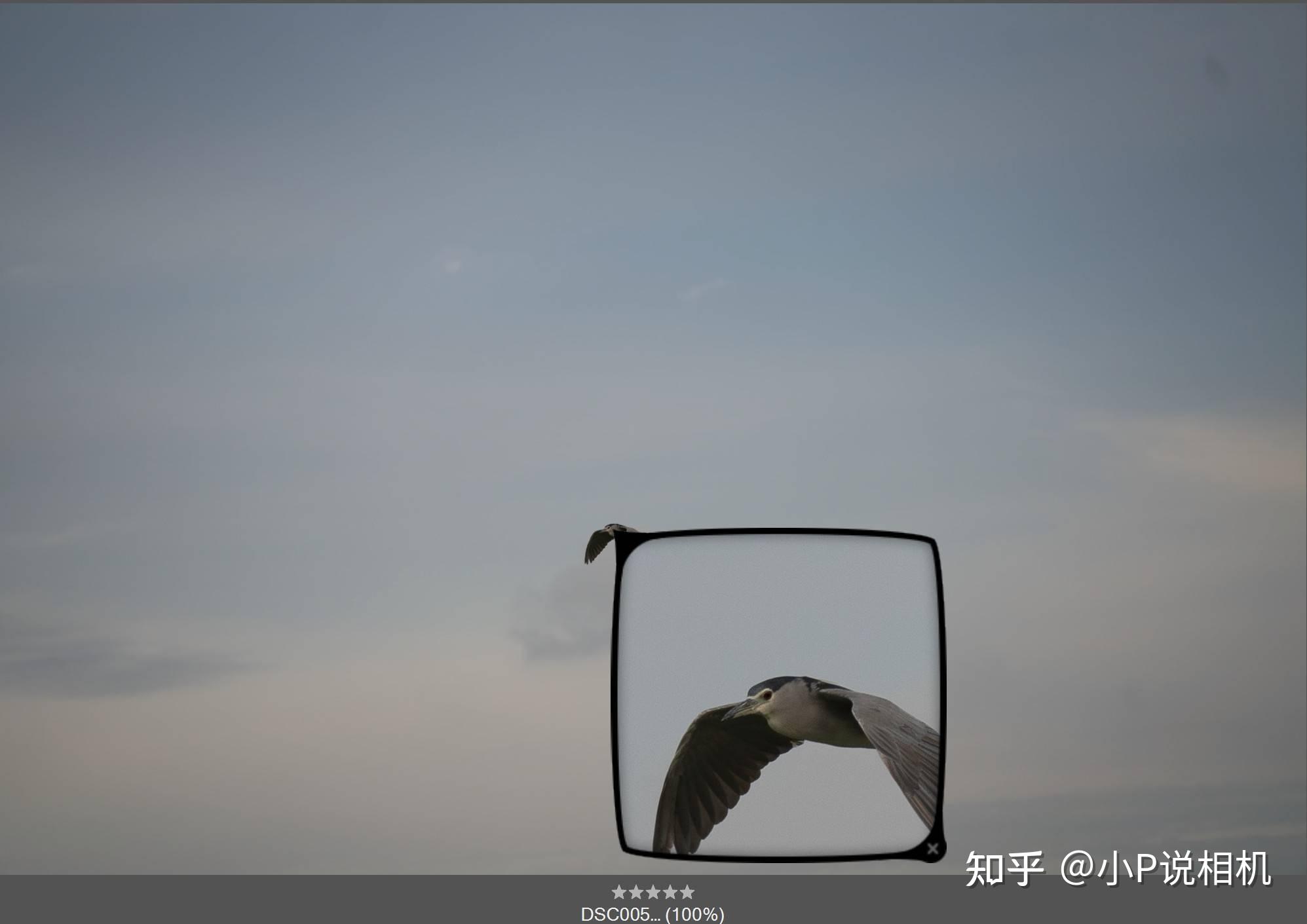 TAMRON收購鏡頭