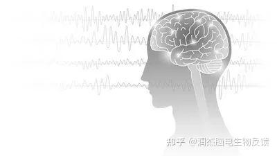 神经反馈概述 | 必须了解的基础知识点 - 知乎
