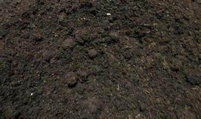 泥炭土和草炭土的区别 多肉植物土 知乎