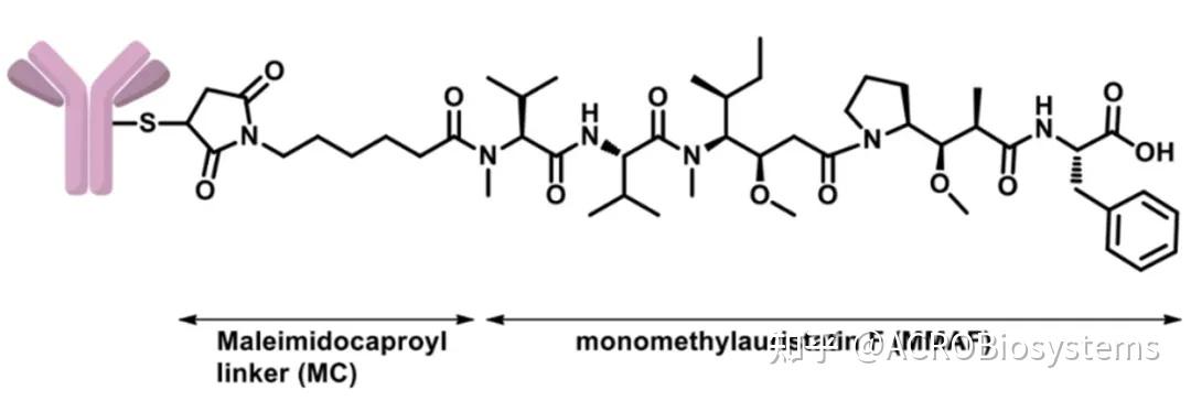 Enpp3 ENPP3亮剑AACR,引领癌症治疗新篇章 - 知乎