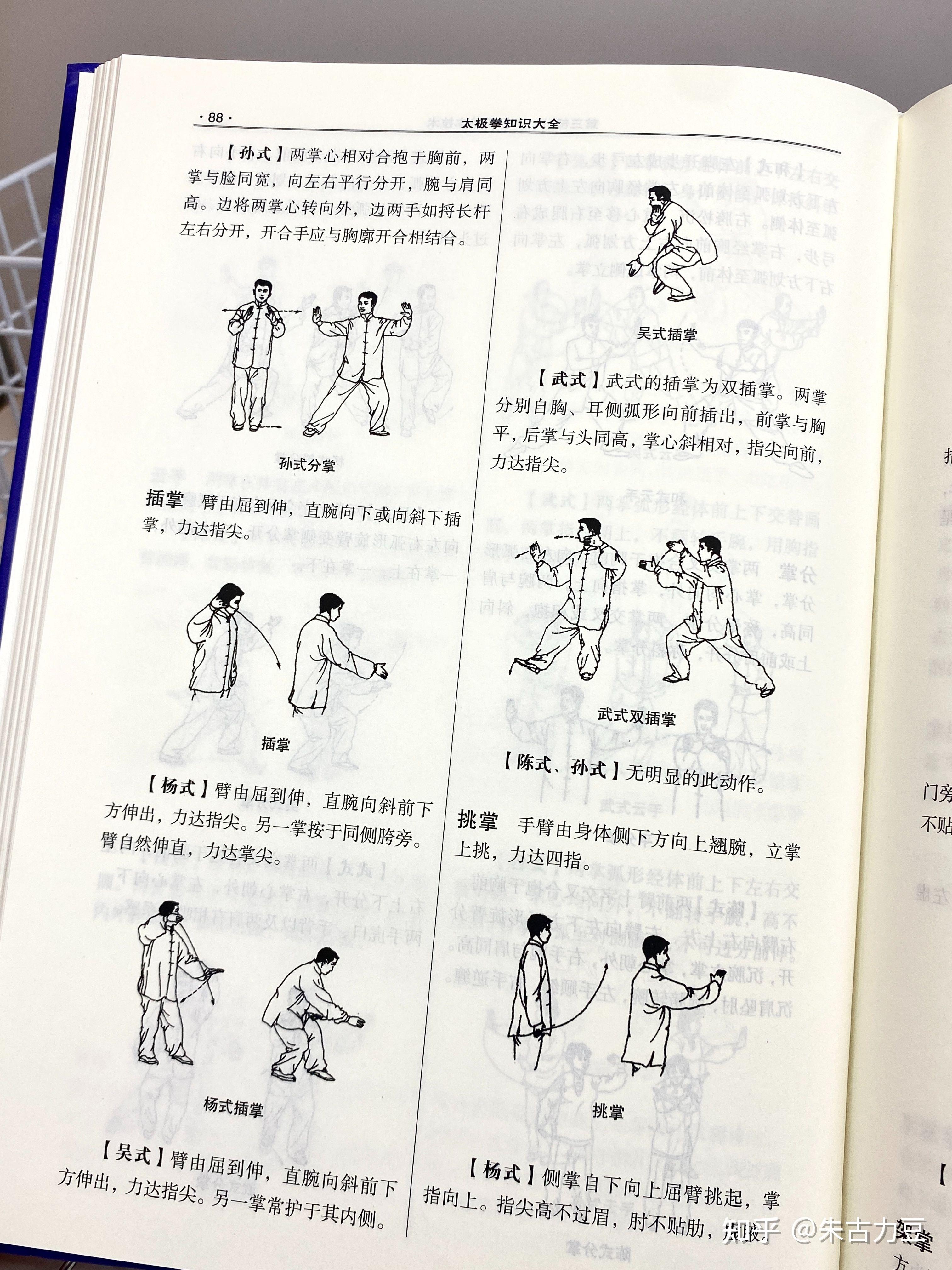 养生太极掌第三套的口诀(养生太极掌第三套 口令 字幕)