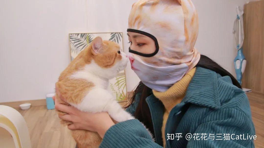 怎么教猫咪上厕所视频 v2-1761e35d55c00a2928a1c92a38b01887_r.jpg