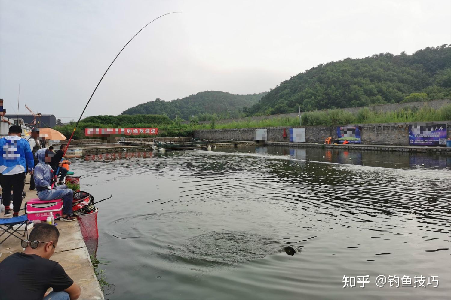 春天釣羅非魚有什麼妙招春天釣羅非魚用哪種餌釣羅非魚的方法