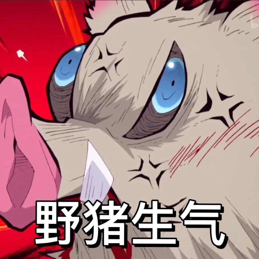 100张鬼灭之刃的表情包