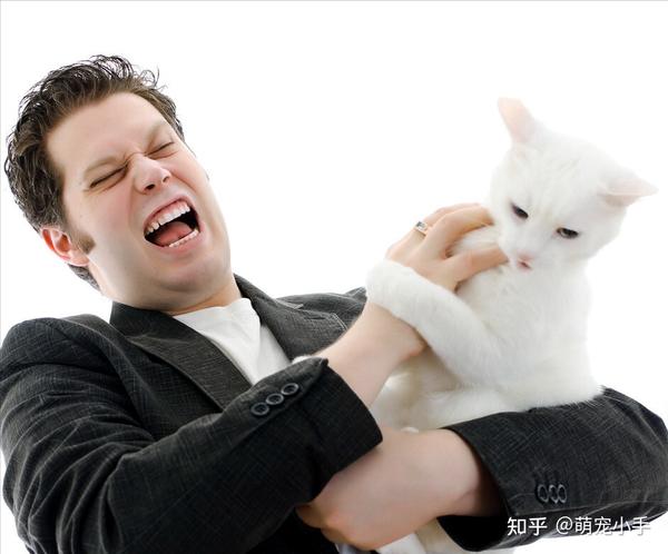 小猫咪爱咬人怎么办，几招帮你改掉坏习惯 - 知乎