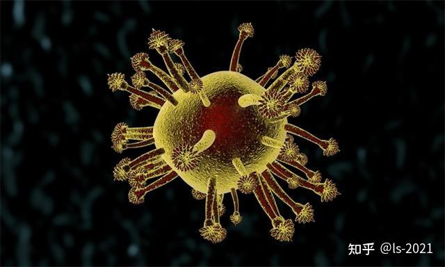 科普|幼犬"杀手"——犬冠状病毒