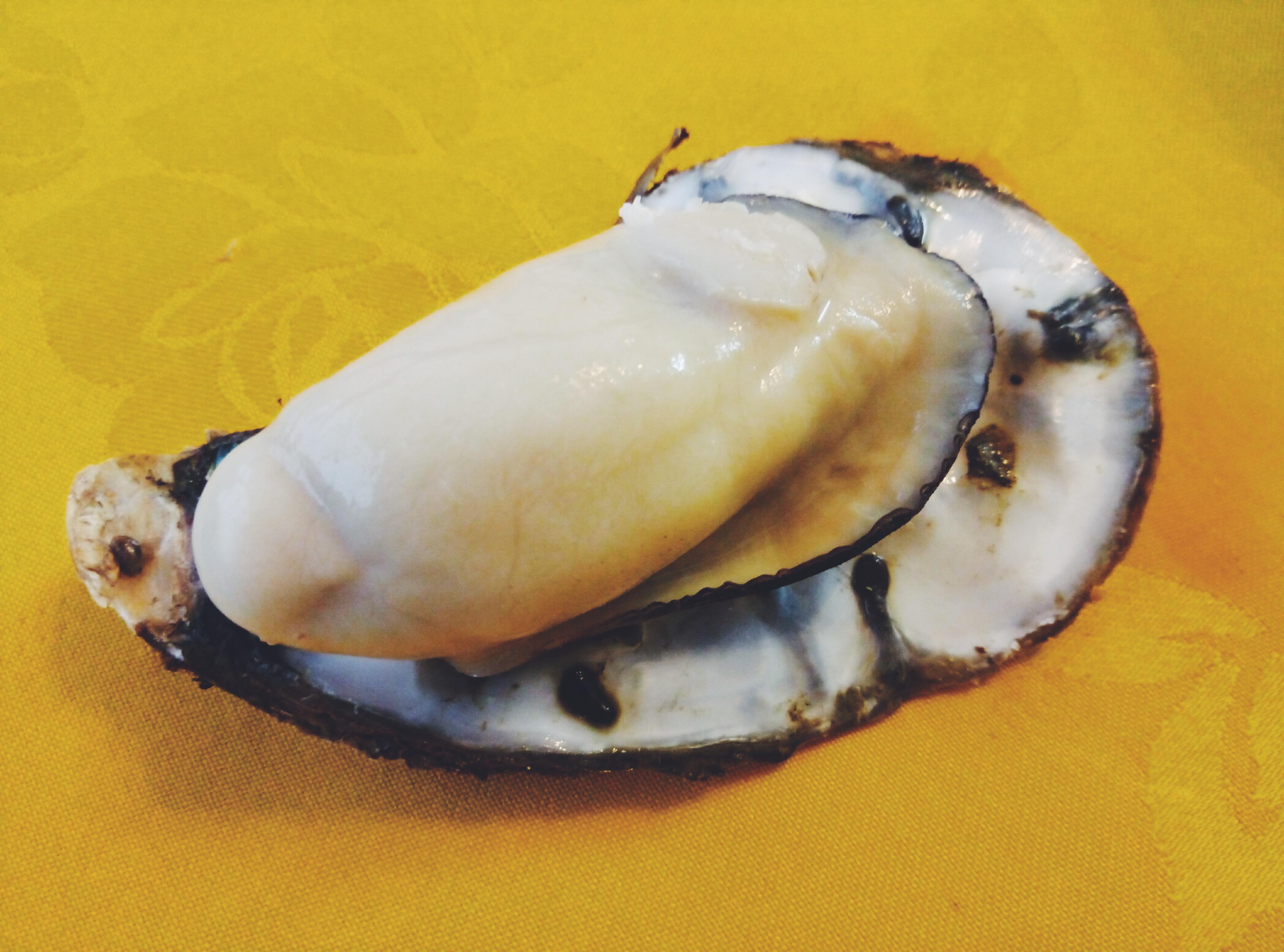 牡蛎(生蚝)都可以怎么吃? - 知乎