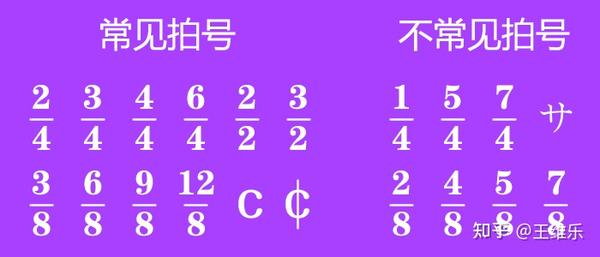 维乐的小白音乐课堂,2.2节奏之拍子 - 知乎