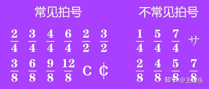 维乐的小白音乐课堂，2.2节奏之拍子 - 知乎