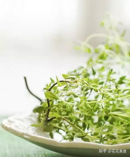 盘点几种香草植物，好闻又好吃 - 知乎