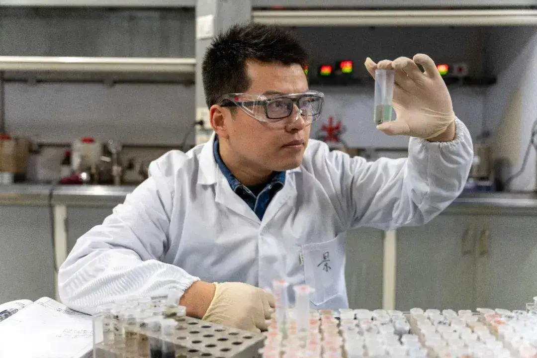 他一作发11篇顶刊论文,提前半年博士毕业!都有哪些科研进阶攻略?