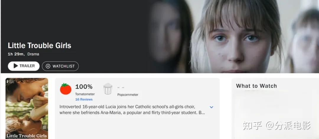 《女孩，你怎么了？》烂番茄100%，小语种爆款