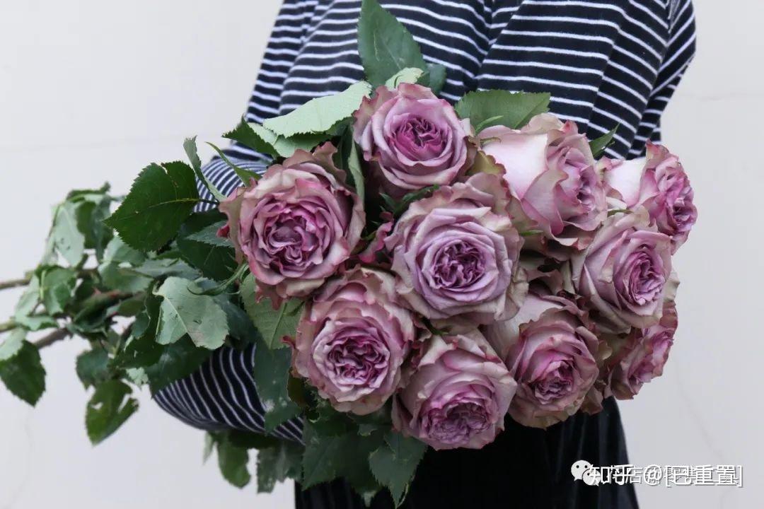 钟情于复古色调的你,绝对不能错过这几款玫瑰